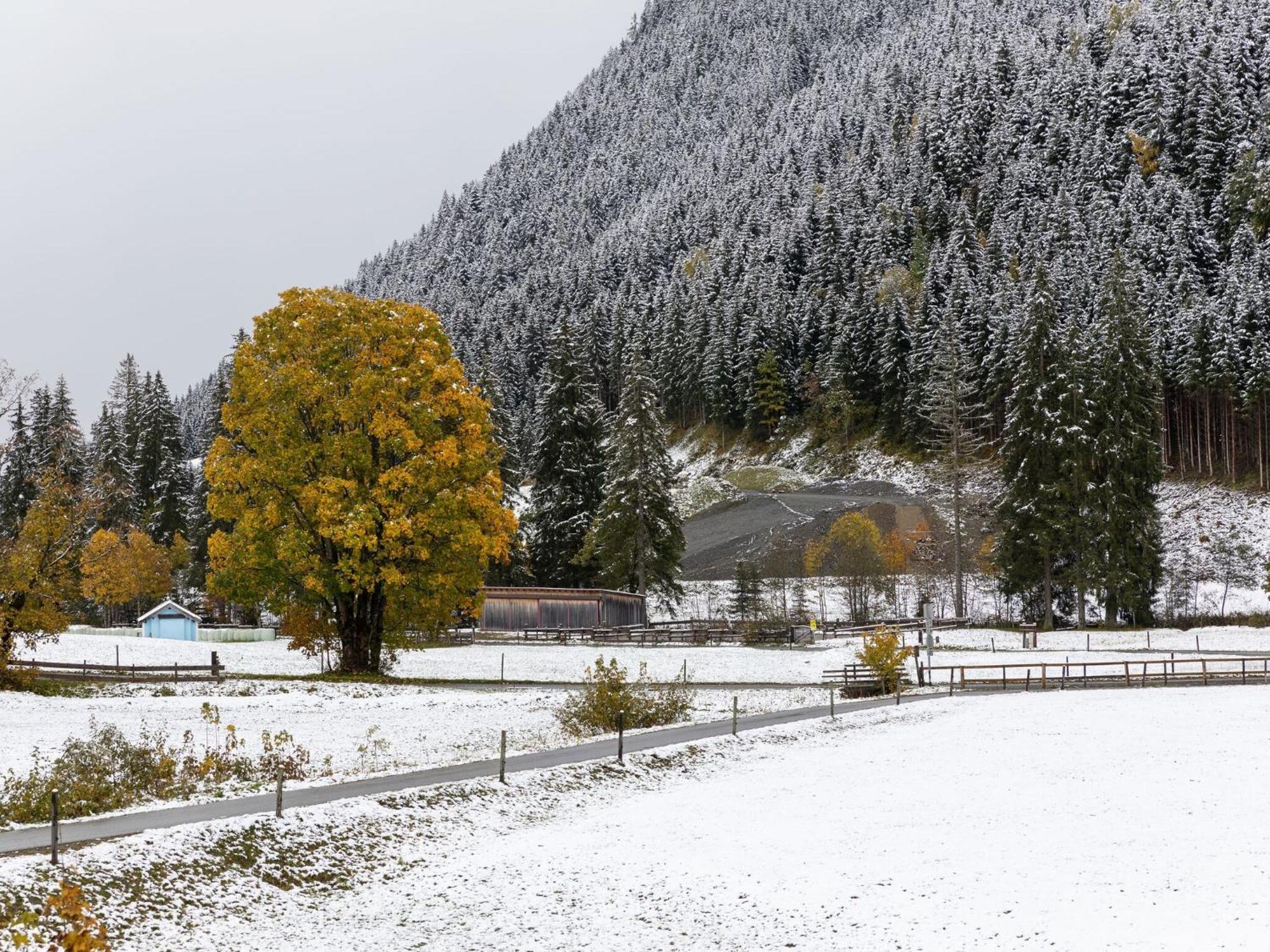 Chalet Apartment In Saalbach Hinterglemm Exterior photo